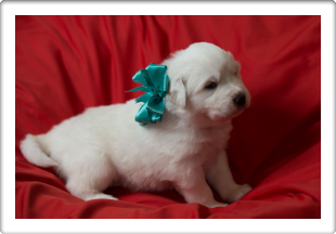 Capture One Session0094